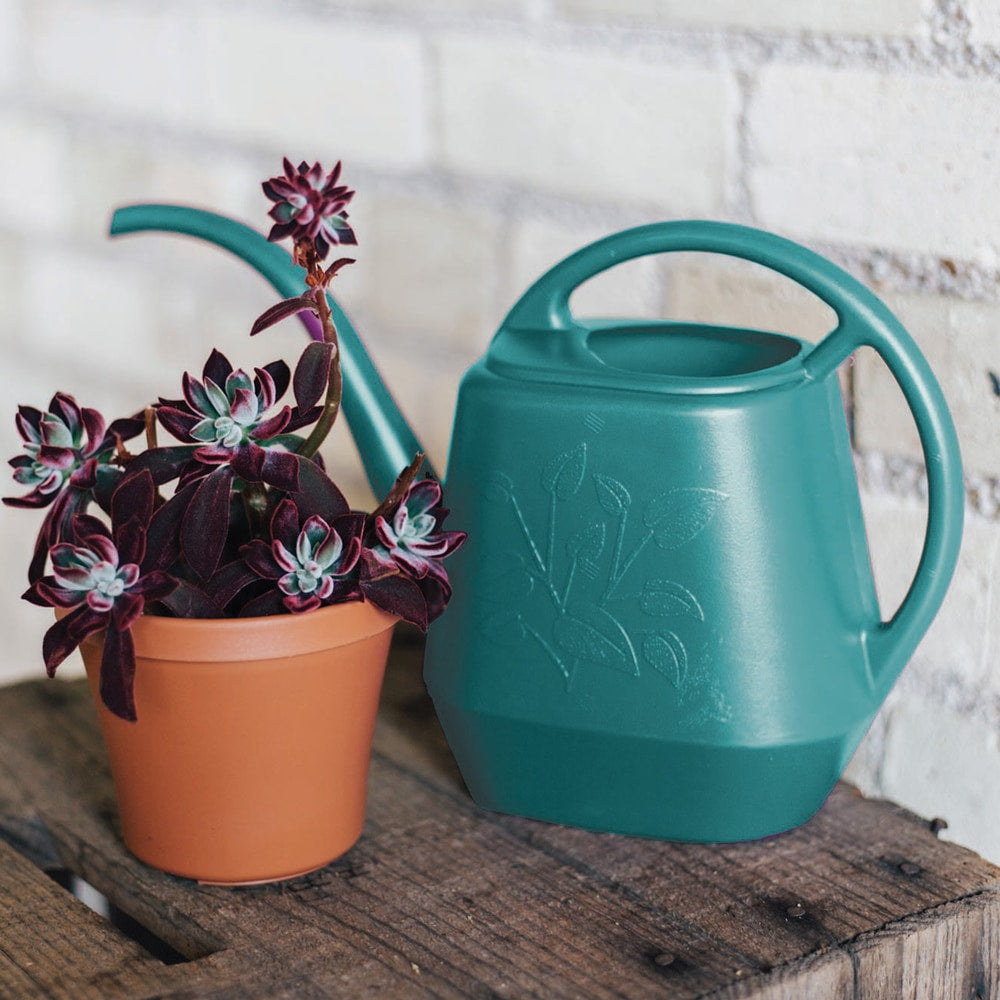 Indoor Plastic Watering Can, 4.25-L O7S4 - product image 7