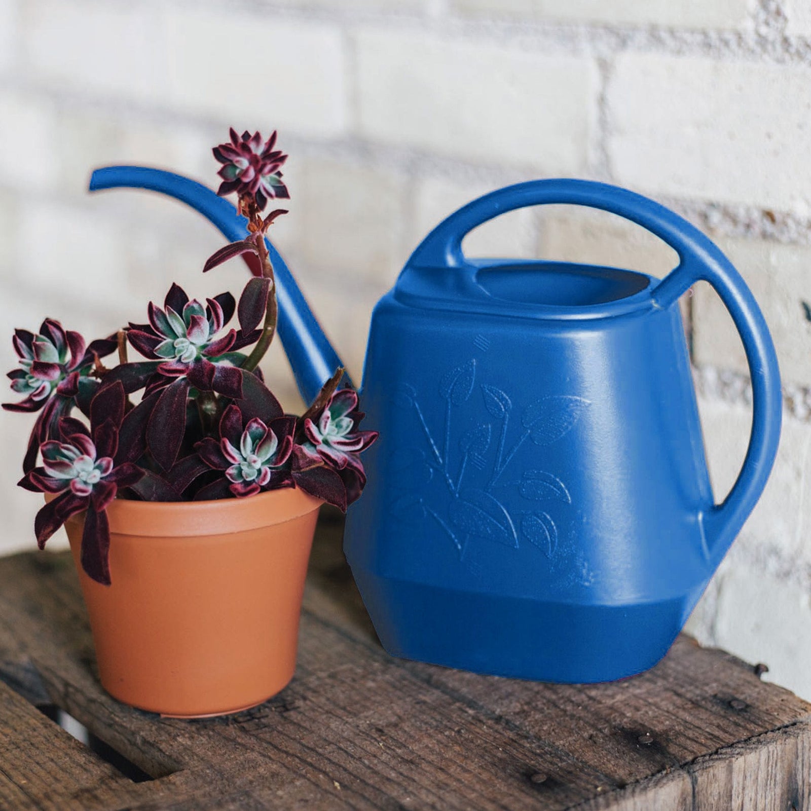 Indoor Plastic Watering Can, 4.25-L O7S4 - product image 8