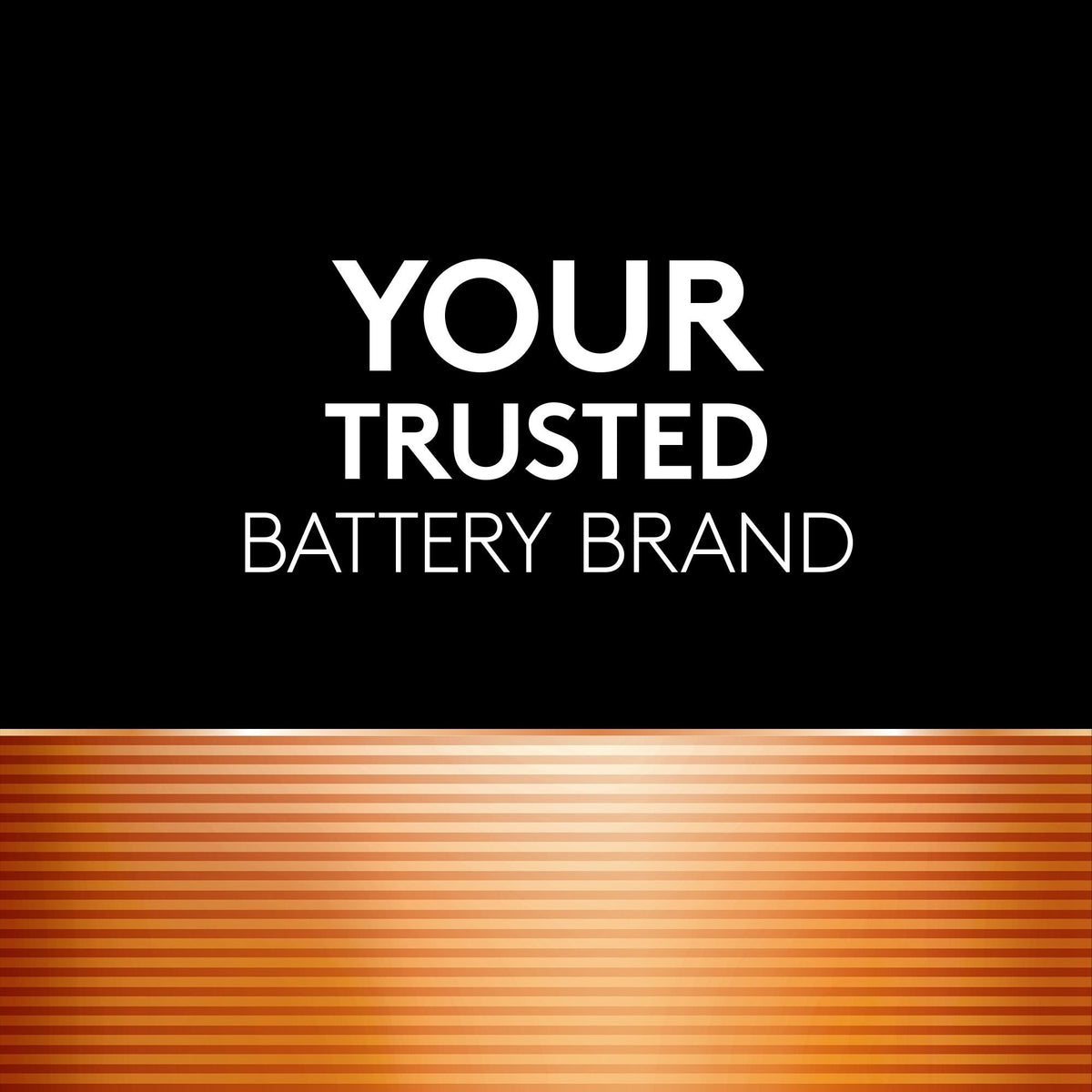 Coppertop AA Batteries, Alkaline, 4-pk G7L5 - product image 2