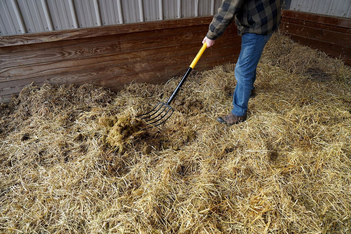 5-Tine Manure Garden Fork B0R0 - product image 3