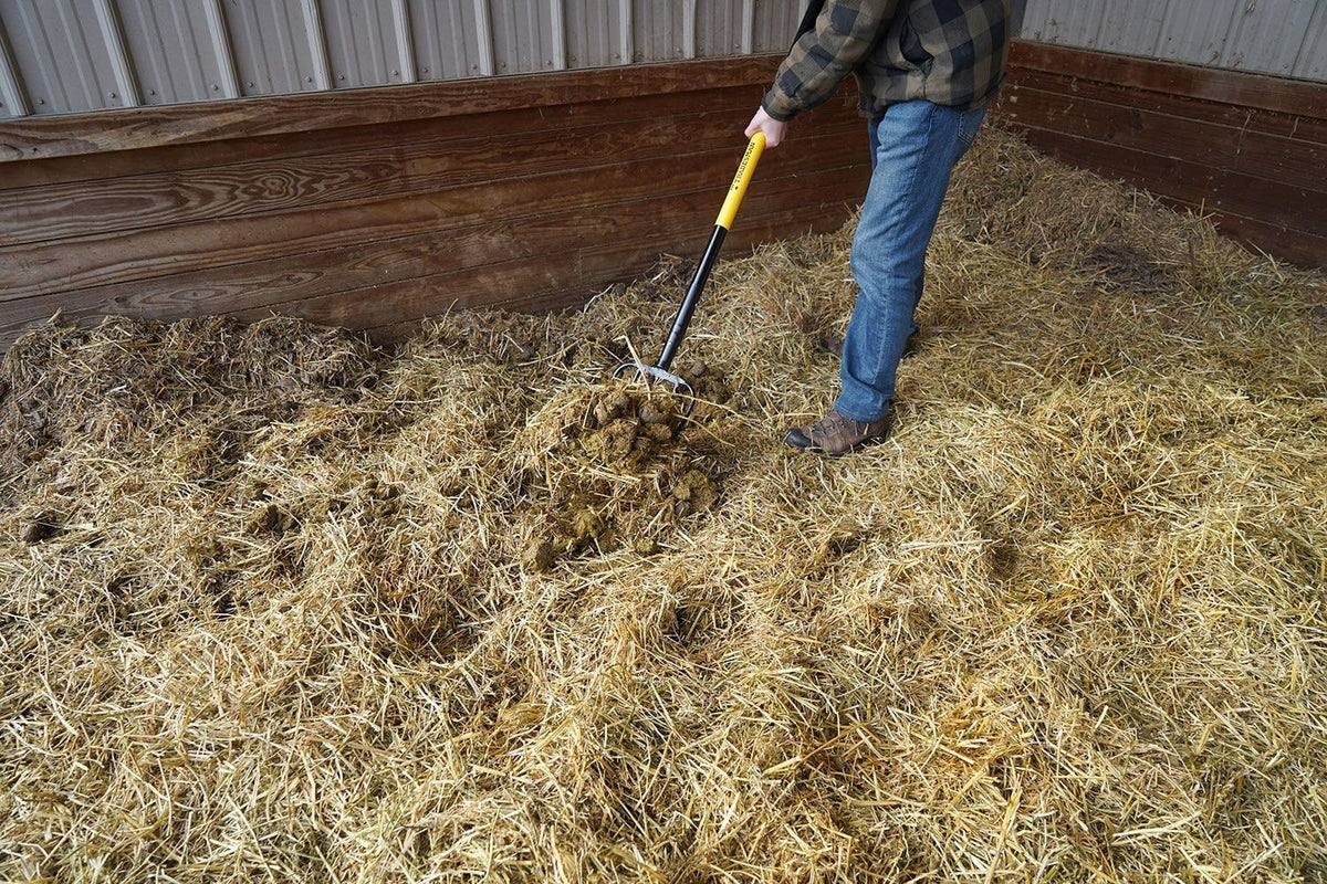 5-Tine Manure Garden Fork B0R0 - product image 4
