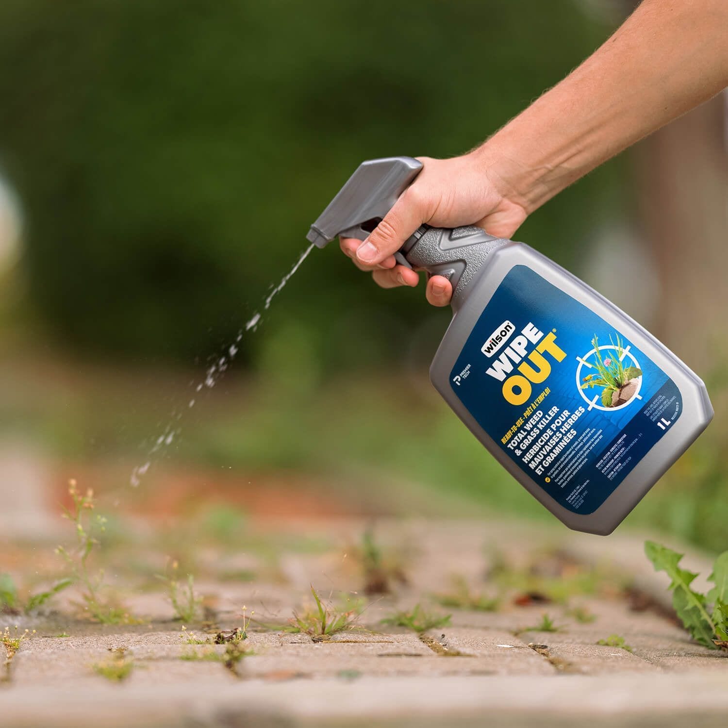 Wipe Out Ready-to-Use Total Weed & Grass Killer, Herbicide Sprayer, 1-L T1O3 - product image 4