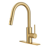 Oletto Single Handle High Arc Pull Down Kitchen Faucet, Brushed Brass U7J4 - product image 1