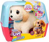 Ouchies Retriever Deluxe with Healing Action A6J1 - product image 5
