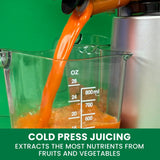 Wide Mouth Cold Press Slow Juicer with Anti-Clog A4F9 - product image 5
