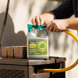MossOut Moss Killer with Lawn Food 5-0-0, 2.5-kg S3F9 - product image 4