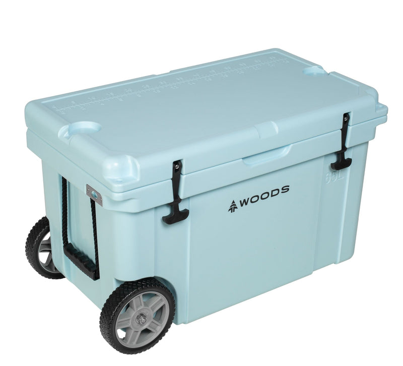 ARCTIC Wheeled Roto-Moulded Cooler with Handle, 65-L, Light Blue D7H1